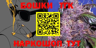 индика Будённовск