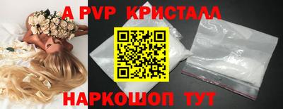 индика Будённовск