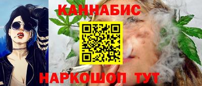 индика Будённовск