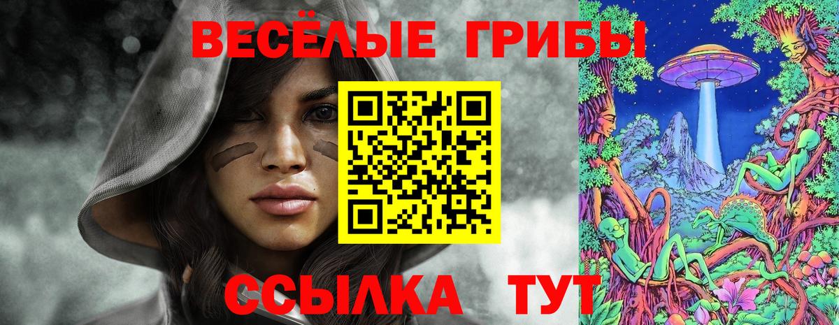 Галлюциногенные грибы мицелий Минусинск