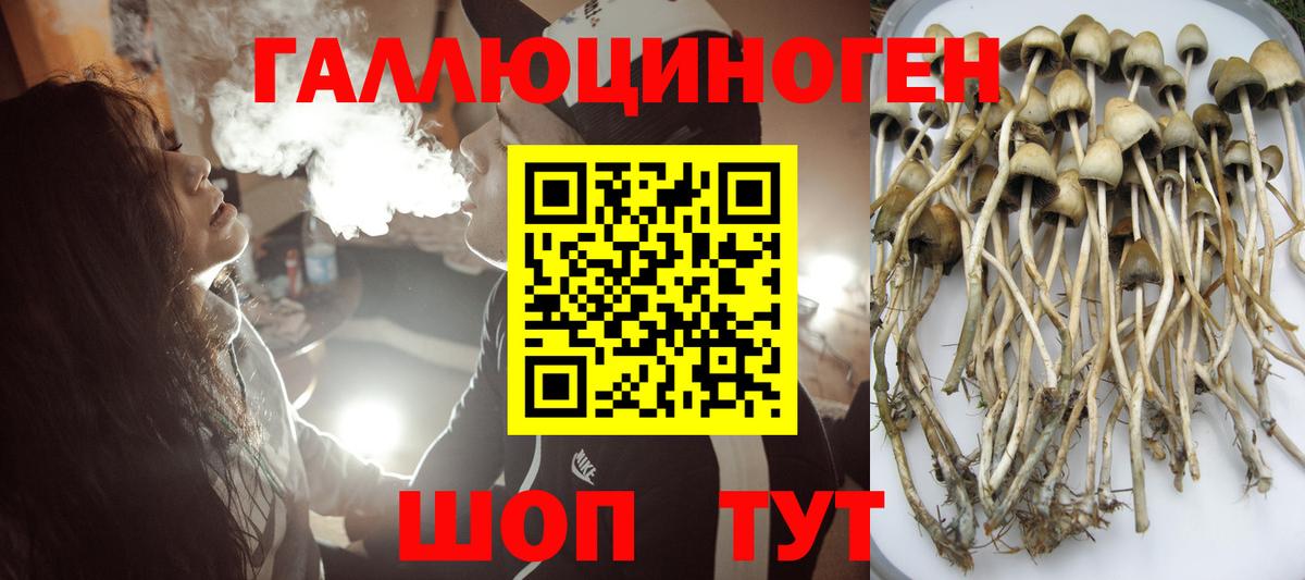 Галлюциногенные грибы Psilocybine cubensis  Галлюциногенные грибы ЛСД  Минусинск  Вход с VPN 